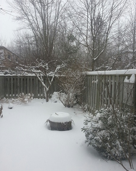 Snowy day