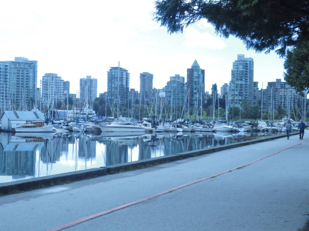 The Vancouver waterfront from Stanley Park