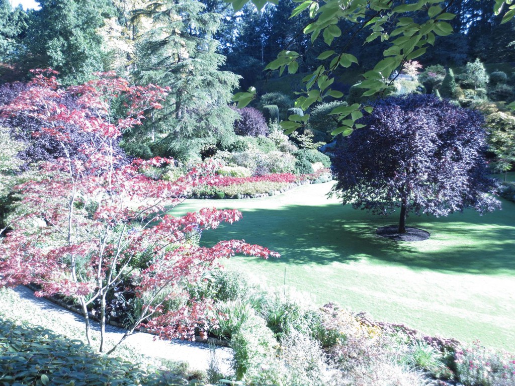 Butchart Gardens