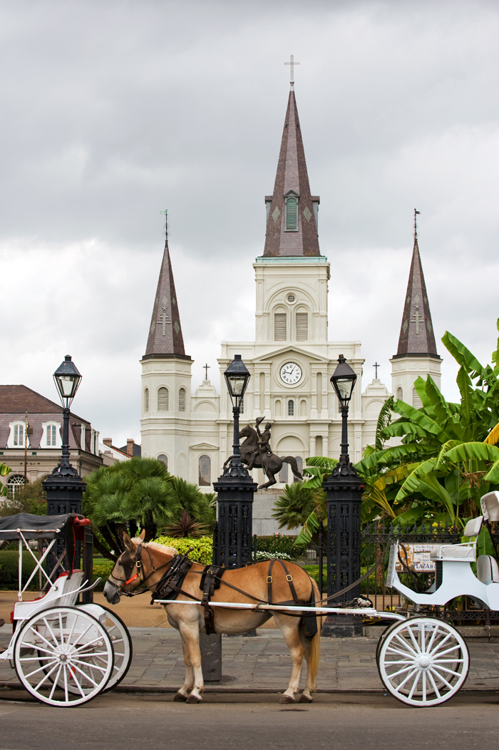 Horsedrawn Carriages on Jackson Square with St Louis