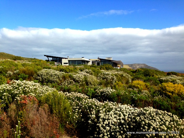 Grootbos Private Nature Reserve, photo courtesy of Man on the Lam