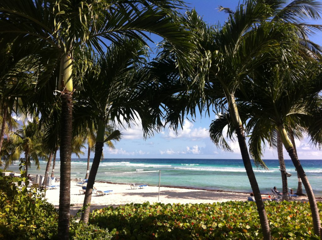 Coconut Court