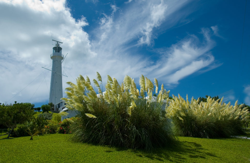 Gibbs Hill
