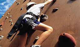 Rock Climbing Wall