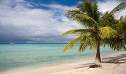 Beautiful tropical beaches - Punta Cana, D.R.
