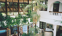 Lobby from above
