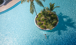 CLUB MED