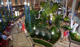 Carnival Cruises dazzling entertainment