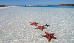 Escape today on a Last Minute Vacation to Cuba