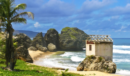 Bathsheba Coast - Barbados