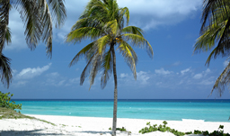 Stunning white-powdery sand beaches - Varadero, Cuba