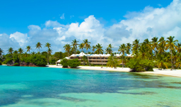 Beautiful tropical beaches - Punta Cana, D.R.