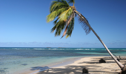 Stunning white-sand beaches - Punta Cana, D.R.