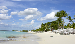 Stunning white-sand beaches - Punta Cana, D.R.