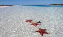 Crystal clear waters are found here - Cayo Largo, Cuba