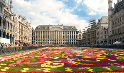 Beautiful flower carpet made of begonias at Grand Palace - Brussels, Belgium