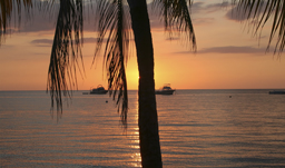 Sunset views - Kingston, Jamaica