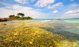 Stunning white-sand beaches - Punta Cana, D.R.