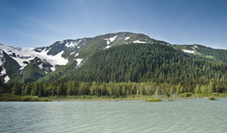 Cruising thru Tracy Arm Fjord - Alaska cruise