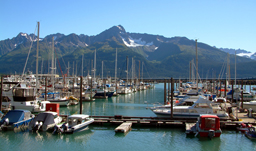 Cruising thru Tracy Arm Fjord - Alaska cruise