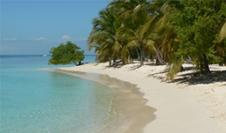 A tropical beach paradise! - Venezuela