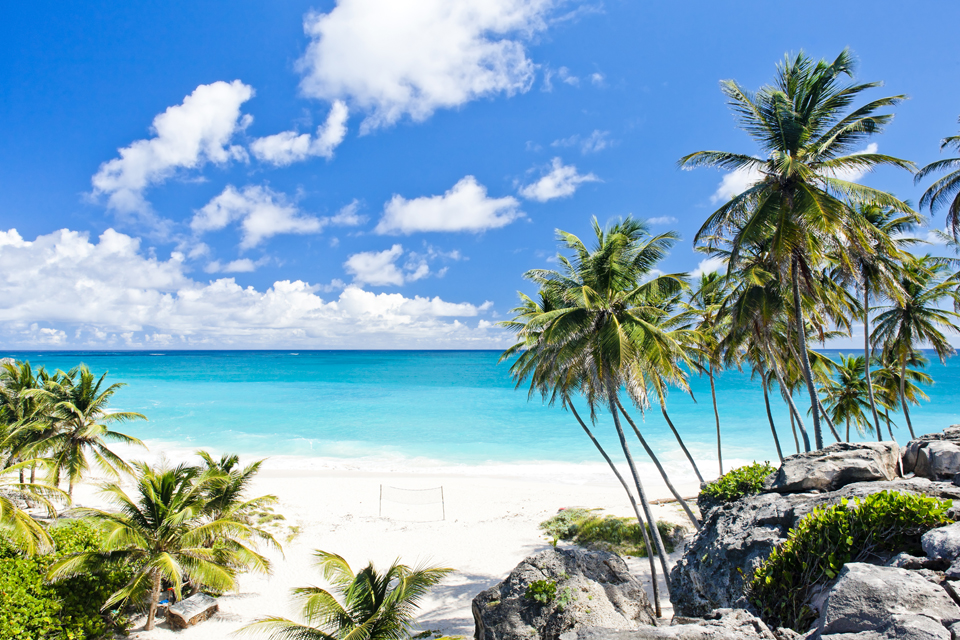 Travel Guide: Things to do in Barbados - Trip Sense | tripcentral.ca