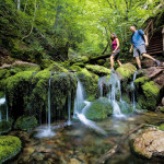attractions in New Brunswick Fundy National Park