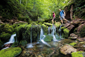 attractions in New Brunswick Fundy National Park