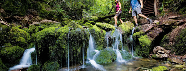 Fundy National Park