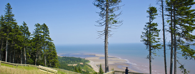 The Fundy Trail