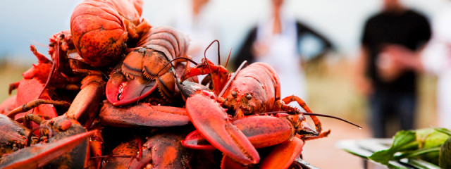 Canadian Road Trip part 2: Attractions in Nova Scotia and PEI