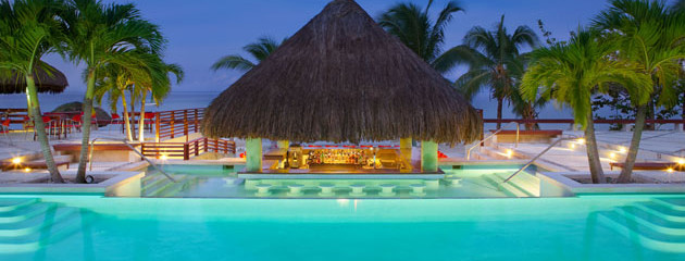 Couples Swept Away swim-up bar