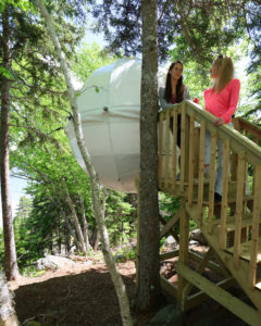 Cocoon Tree Bed, Cape Breton Highlands National Park