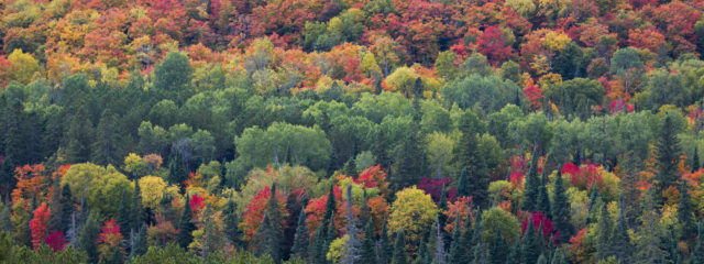 10 Last-Minute Fall Colour Getaways You Can Still Catch This Year