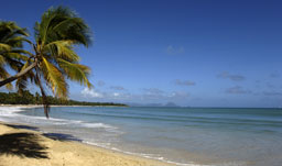 Martinique