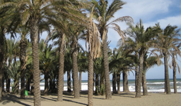 Palm Beach Torremolinos Palm Beach Torremolinos