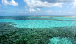 Belize City