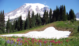 Washington