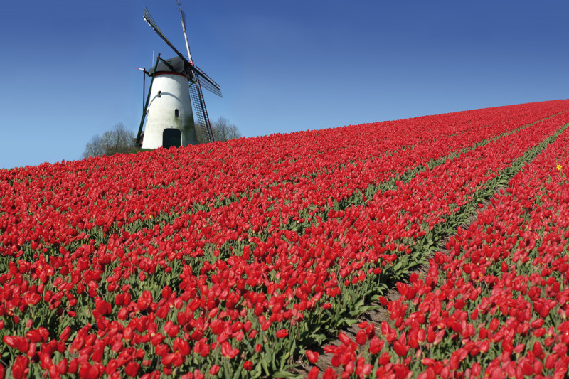 Netherlands